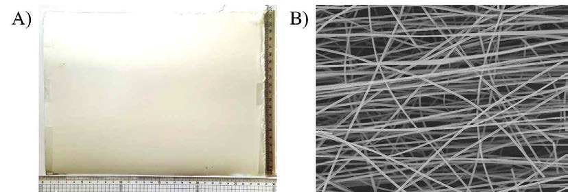 (A) 전기 방사를 이용하여 제조한 EF-Ⅷ (30 x 22 cm2) (B) SEM으로 확인한 EF-Ⅷ의 나노섬유 구조