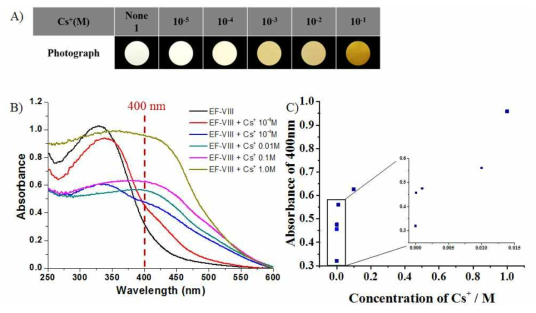 물과 DMF 혼합용매 (10:1 v/v%)에서 EF-Ⅷ를 다양한 농도의 방사성 핵종(세슘이온) 용액에 담궜다 꺼낸 후의 (A) 색 변화와 (B) UV-vis 스펙트럼. (C) (B)의 400 nm에서의 흡광도 변화.