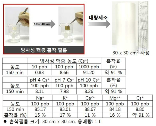 고용량 방사성 핵종(세슘이온) 대상의 EF-Ⅷ를 이용한 흡착성능 조사