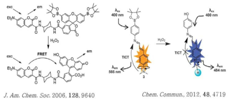 화학센서로 사용되는 형광성 분자의 형광 발생원리.