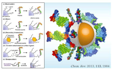 나노입자 표면에 기능성 물질 도입과 관련된 총설 논문