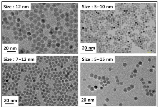 반응 조건별 Fe3O4 나노입자의 투과전자현미경 사진.