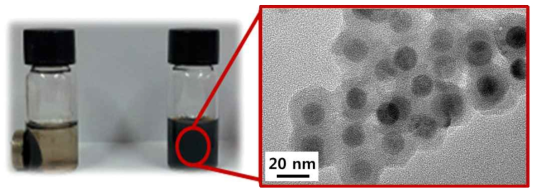 Fe3O4@SiO2 나노입자의 자성 확인(좌) 및 투과전자현미경 사진(우).