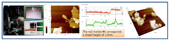 AFM을 이용한 graphene oxide의 확인.