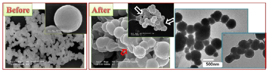 SiO2@Graphene 나노 복합체 제조 전·후의 주사전자현미경 및 투과전자현미경 사진.