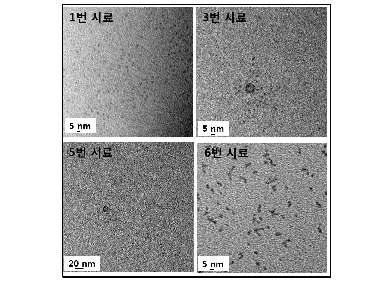 시간별로 제조된 CdSe 양자점의 투과전자현미경 사진