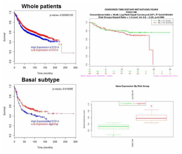 KIA1199 발현과 유방암 환자의 전이와 생존율과의 상관관계