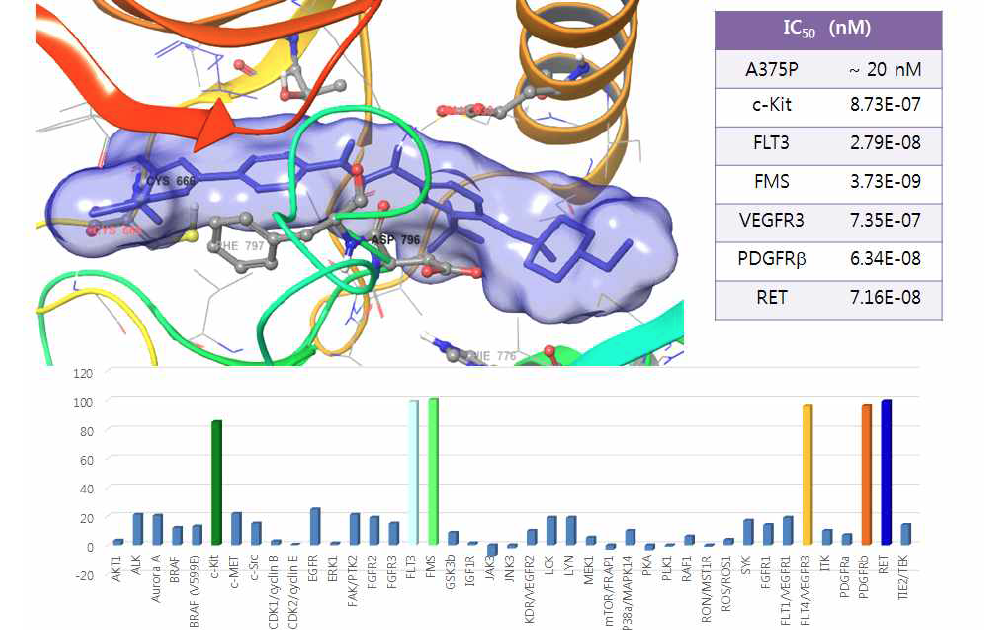 대표 화합물 10d의 docking 구조와 Protein Kinase Profiling 결과