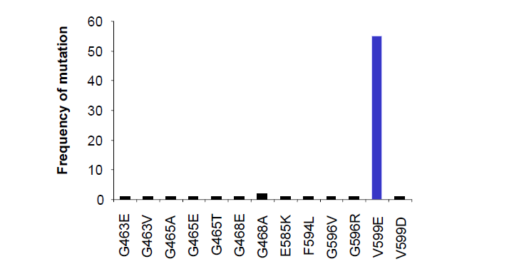 B-Raf 돌연변이 중 V599E (= V600E)의 빈도 비교