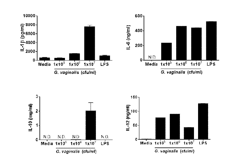 Gardnerella vaginalis 균의 수지상세포 자극에 의한 사이토카인 생성