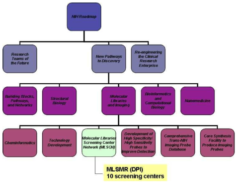 NIH roadmap