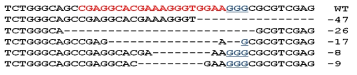 . lrrc17 유전자의 Germline mutation