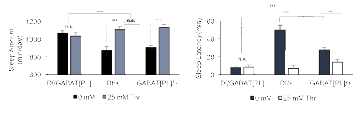 threonine 섭취에 따른 수면양의 증가와 수면 개시에 걸리는 시간의 단축을 GABA-transminase 돌연변이 초파리와 대조군에서 비교 분석하였음.