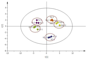 OPLS-DA multivariate statistical analysis of inner morphology data from five Rumex species.