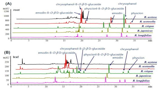 HPLC profiles of Rumex species