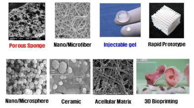 조직 및 장기 재생에 사용 가능한 여러 가지 지지체의 형태