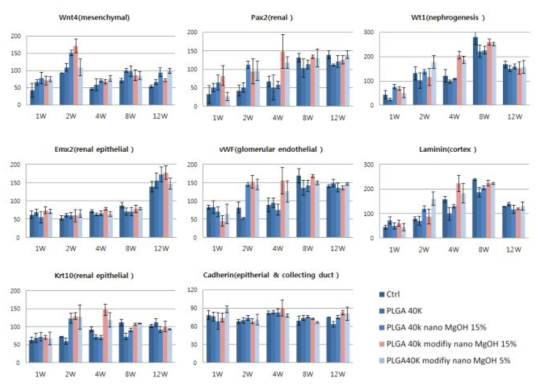 PCR analysis: Differentiation