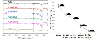 생체모방 생분해성 지지체의 FT-IR spectra 분석 및 접촉각 측정
