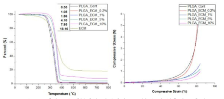 생체모방 생분해성 지지체의 TGA 분석 및 압축강도 측정