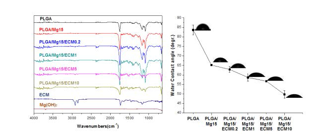 생체모방 염증억제 생분해성 지지체의 IR spectra 분석 및 접촉각 측정