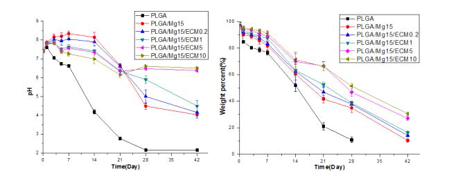 생체모방 염증억제 생분해성 지지체의 pH 변화 및 분해거동 관찰