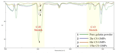 FT-IR 분석을 통한 가교시간에 따른 젤라틴 마이크로 입자의 가교 정도 확인.