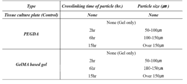 젤라틴 마이크로 입자의 종류에 따른 생체 모방성 확인을 위한 세포 실험 그룹