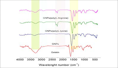 젤라틴 가루, 젤라틴 나노입자(GNPs), GNPs/Poly (L-lysine), GNPs/Poly (L-arginine)의 FT-IR 결과