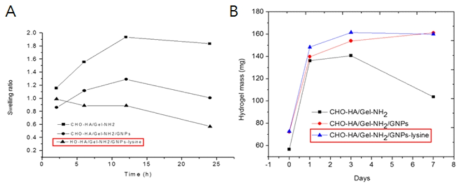 GNPs의 유무 및 GNPs의 양전하 개질에 따른 팽윤비 시험(A), 및 분해 시험(B)