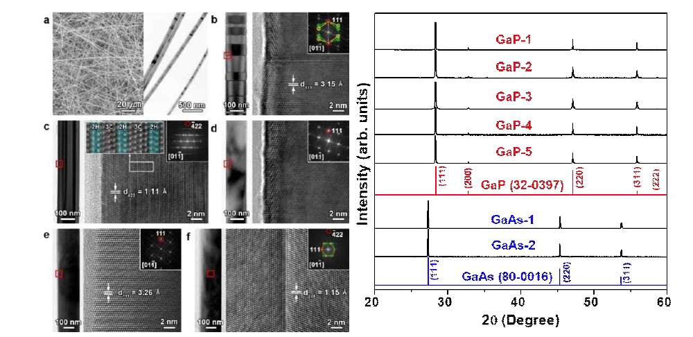 성장방향이 조절된 GaP 및 GaAs 나노선의 구조분석