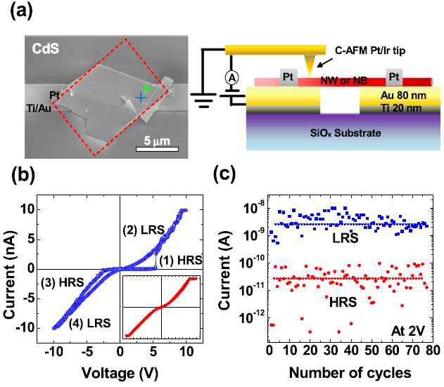 CdS 나노시트의 저항전환 곡선