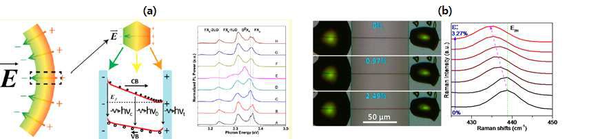 ZnO 나노선의 스트레인에 의한 (a) PL (Nano Lett. 2012) 및 (b) 라만 스펙트럼