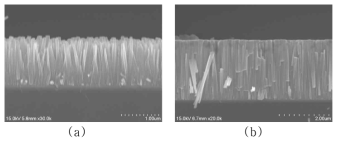 ZnO nano rod의 FE-SEM 단면사진 (a) 0.1M용액 (b) 0.2M용액 사용