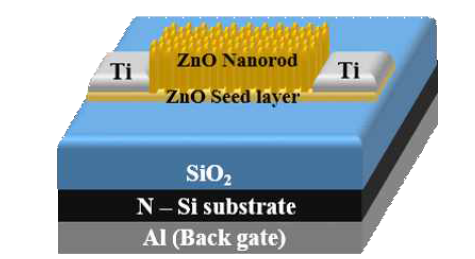 ZnO nano rod의 FE-SEM 단면사진