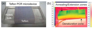 (a) 테프론 PCR 칩 (b) 단일히터를 이용한 테프론 PCR칩의 온도 구배 형성
