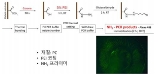 PC 표면에 직접 PEI 코팅 후, 아미노기 말단을 갖는 프라이머를 고정시킨 후 형광 검출한 결과