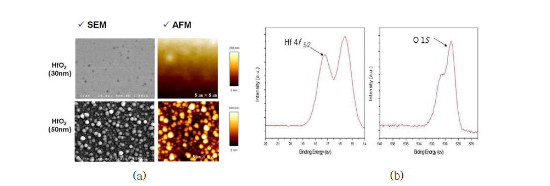 SEM, AFM을 이용한 As-deposited HfO2 표면형상측정(a)과 HfO2의 XPS 분석(b)