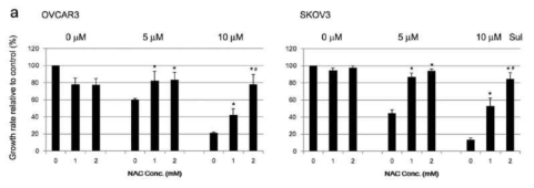 NAC가 서포라판에 의한 암세포 성장억제에 미치는 영향