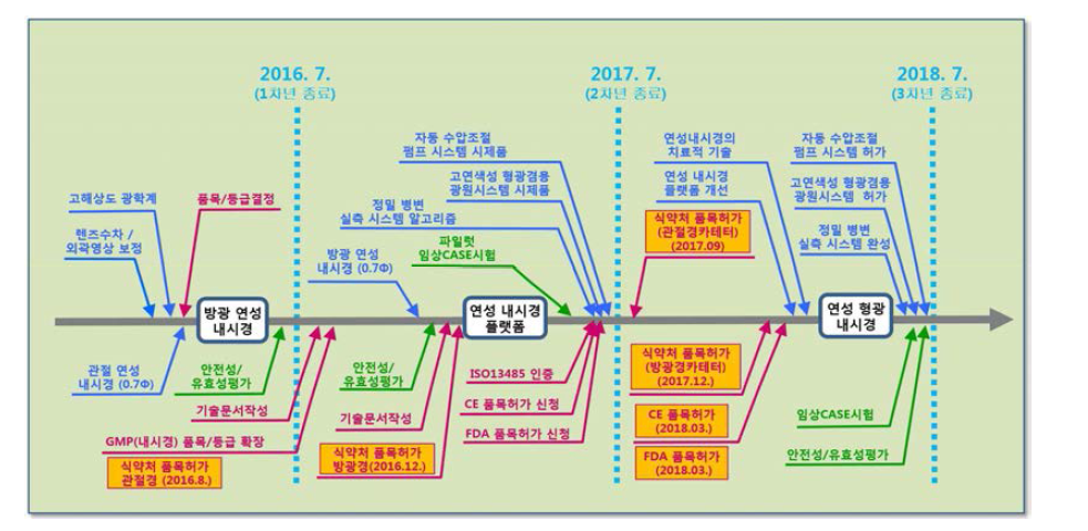 연성 형광내시경 시스템의 인허가 로드맵