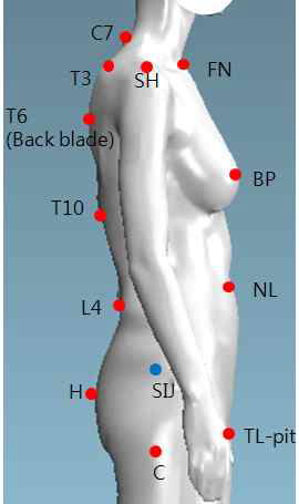 몸통, 어깨 자세를 위한 인체 측정점