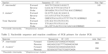 Nucleotide sequence and reaction conditions of real-time quantitative PCR primer using MRT-PCR method