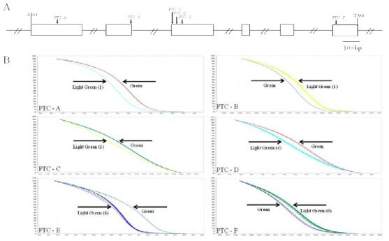 Normalized melting curves of HRM analysis to identify CaGLK2 variations.