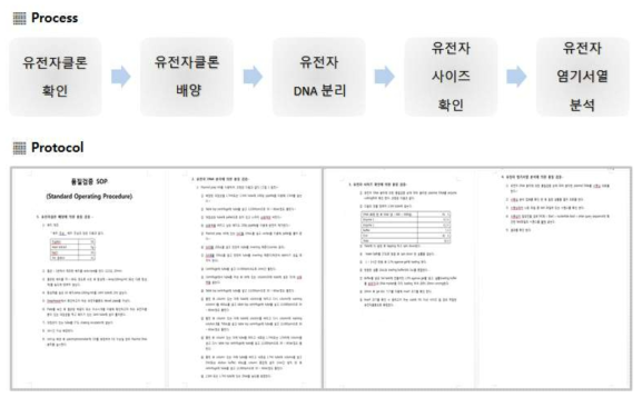 인간유전자클론 품질 검증 순서 및 표준화 프로토콜