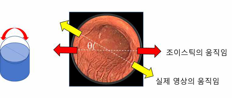 캡슐의 움직임 방향과 영상의 움직임의 차이를 검출함으로써 회전된 각도 추출