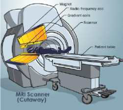 MRI의 구조