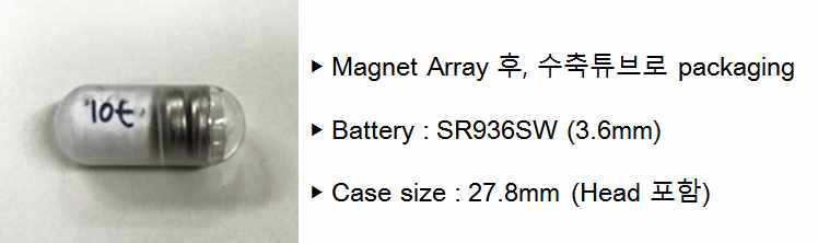 테스트용 캡슐 내시경용 모형 제작