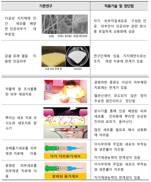 기존연구 적용기술 및 장단점