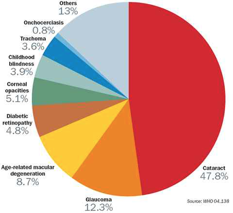 실명의 첫 번째 원인이 된 녹내장 : 치료가능한 백내장을 실명의 원인에서 제외하면 12.3%로 녹내장이 실명의 첫 번째 원인으로 2002년 조사되었다