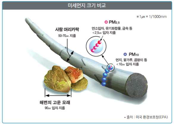 미세먼지 크기 비교