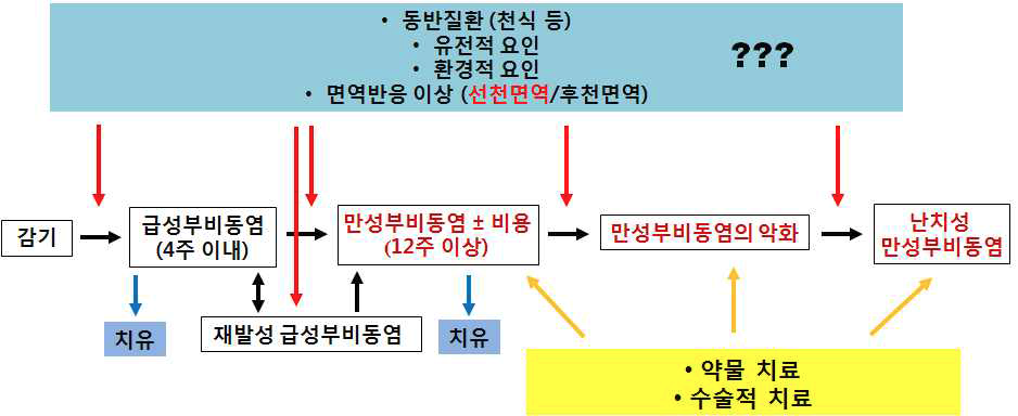 급성부비동염에서 만성 부비동염으로의 진행.